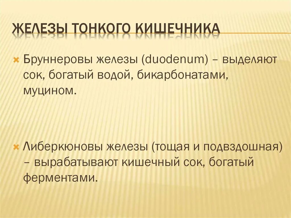 Железы тонкого кишечника функции