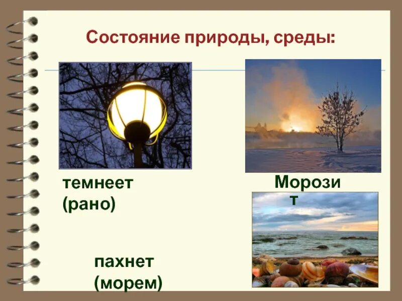 Состояние природы. Состояния природы среды. Состояние человека или природы. Состояние человека и состояние природы.