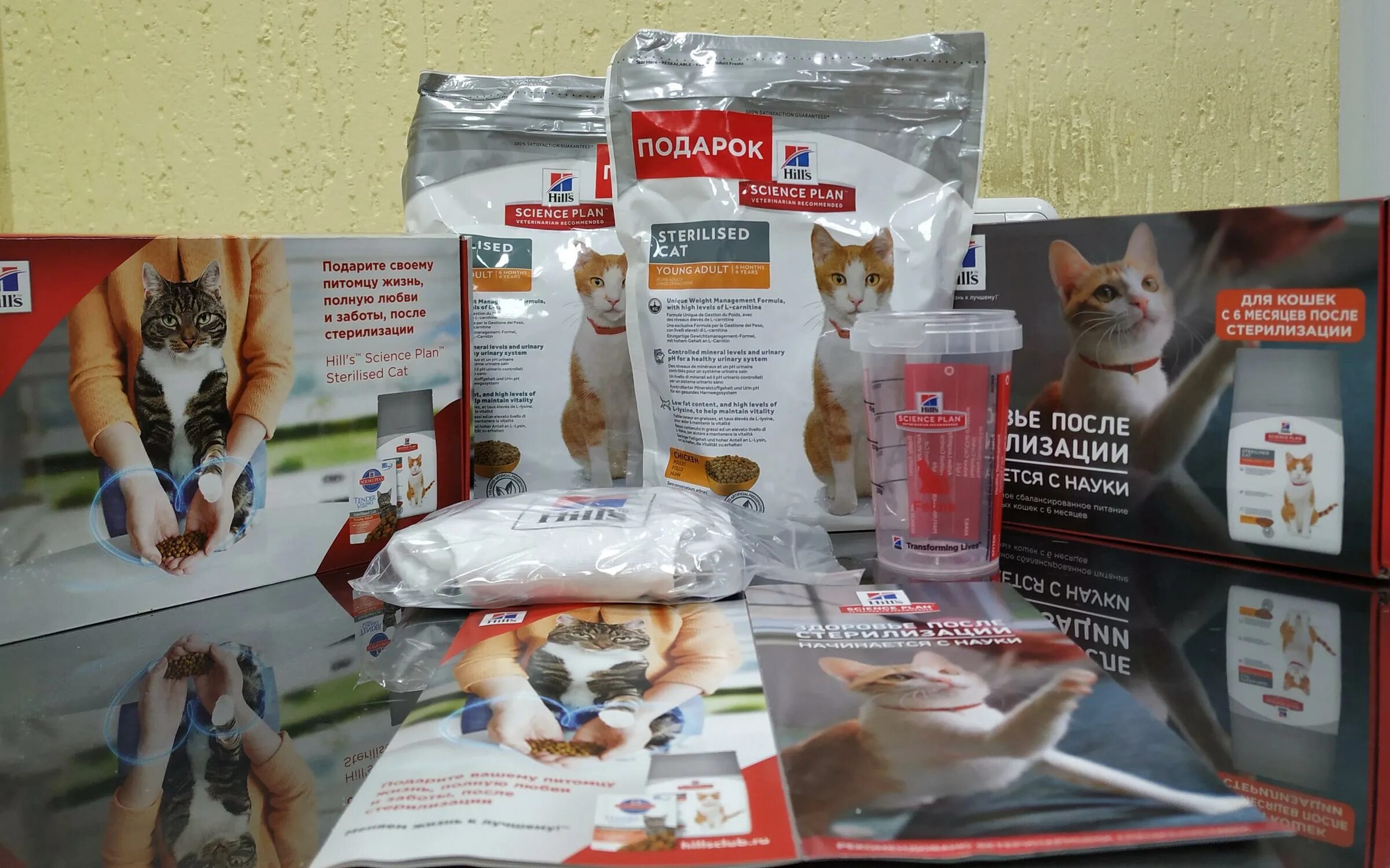 Какой корм давать кастрированному коту. Кастрация котов корм в подарок. корм для кота после кастрации. подарок после кастрации. диета для кошек при ожирении.