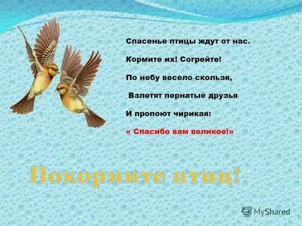 Пернатые гости 3 класс