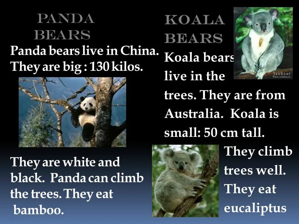 They are born to live