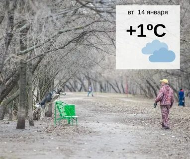 Зима 2019 год