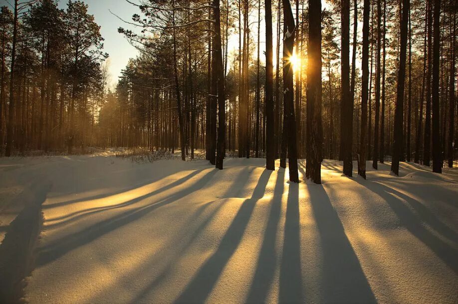 Февраль где можно. Песня февраль. Зимний пейзаж. Февраль фото. Стихи про февраль для детей.