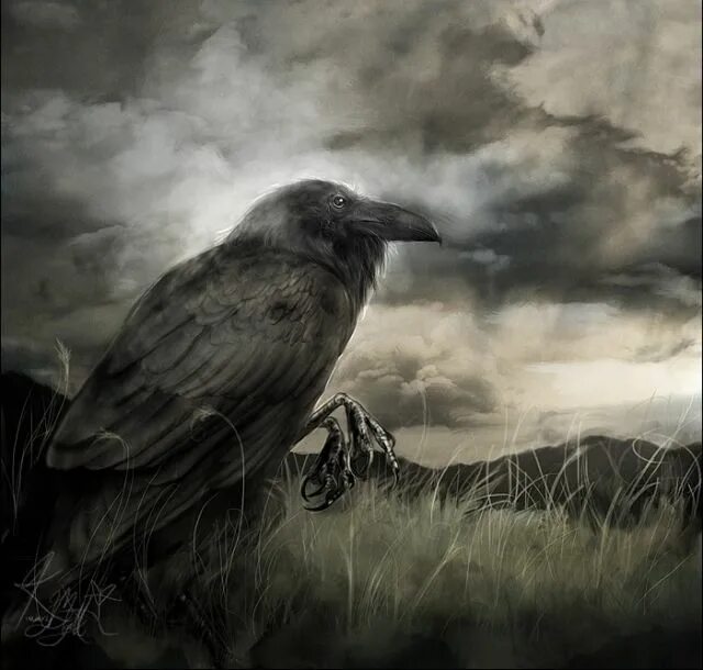 Ворон символизм. Суеверия вороны. Славянский ворон. Тату ворона. Чертог ворона символ.