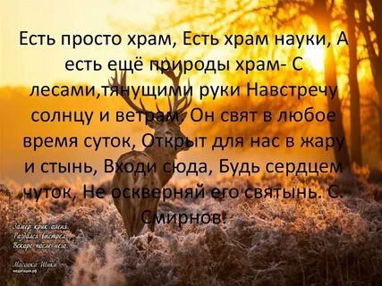Природа это храм или мастерская