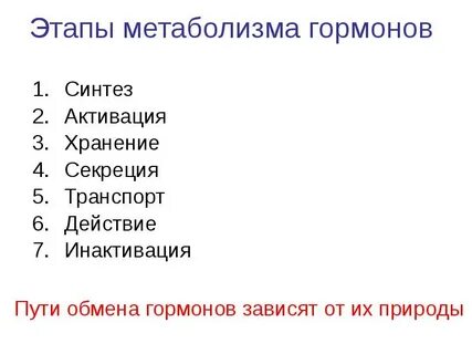 Белковый обмен гормоны
