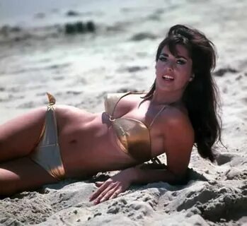 Lori Saunders Photos (Uploaded By Our Users) .