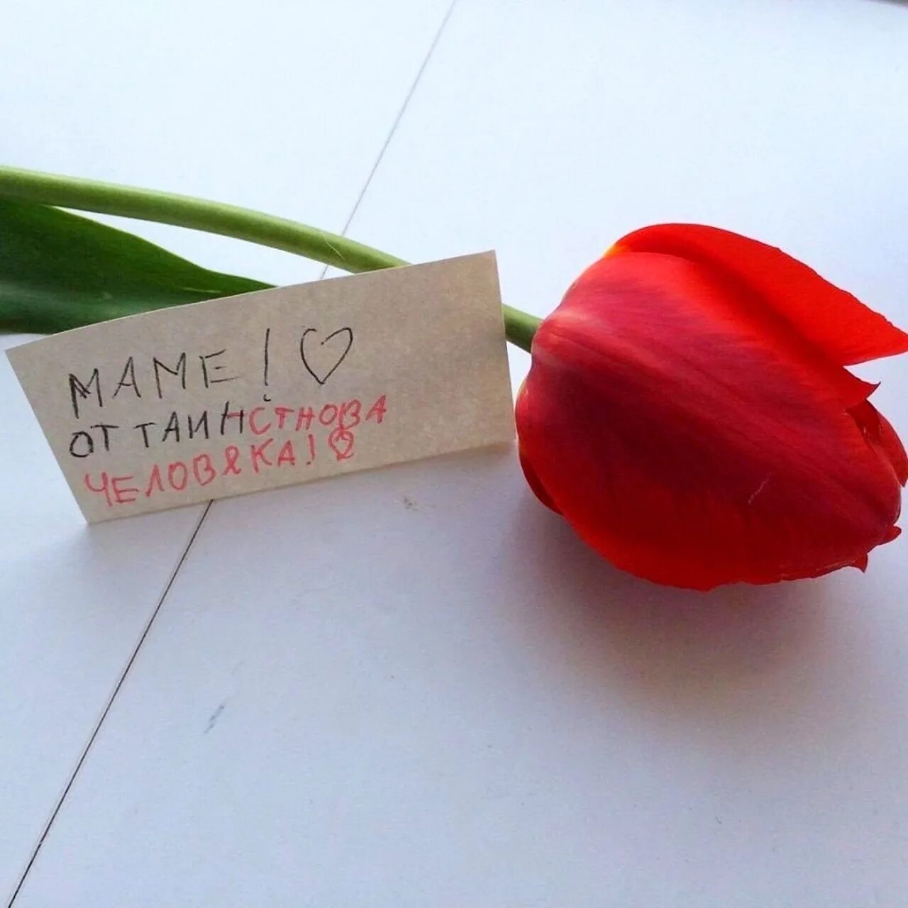 Букет от тайного поклонника. Записка в цветах. Открытка от поклонника. Парень тайный поклонник. Букет с запиской.