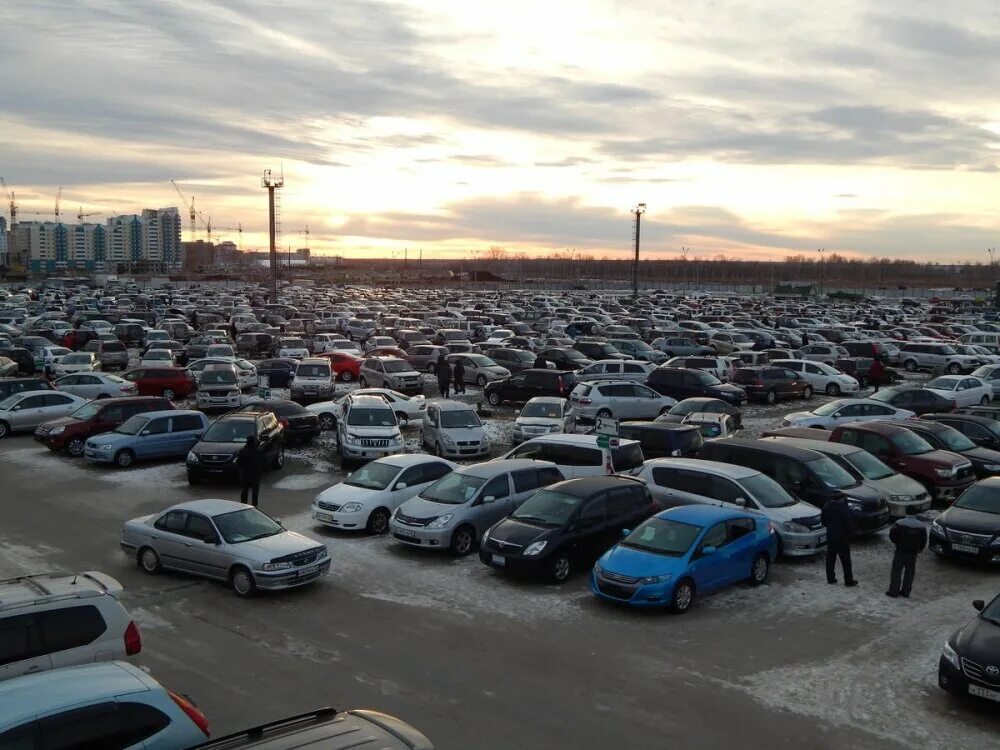 Авторынок Барнаул. Новосибирский авторынок. Авторынок Алтайский. Автобарахолка Барнаул. Продам авто в новосибирске