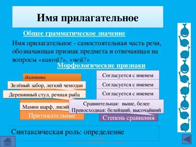 Общее грамматическое значение прилагательного. Имя существительное грамматическое значение. Имя прилагательное грамматическое значение. Общее грамматическое значение имени существительного. Какие признаки имеет прилагательное