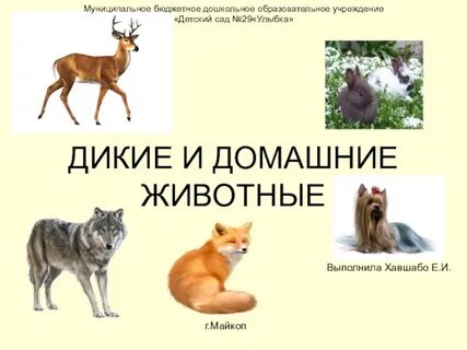 Презентация дикие