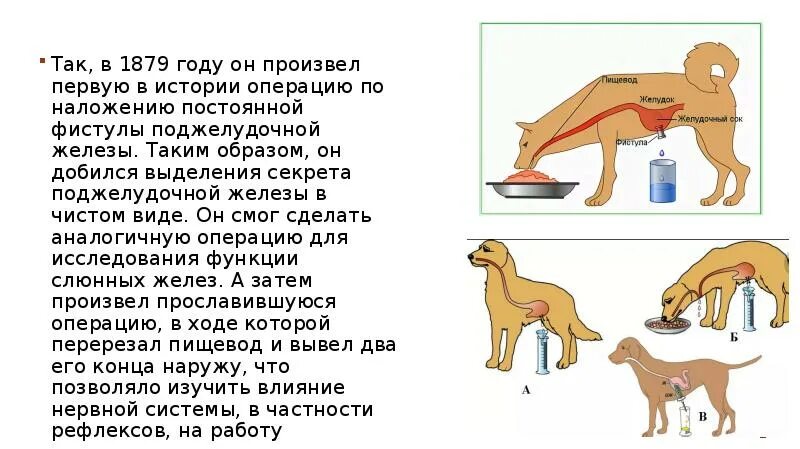 Наложение фистул. Наложение фистул. Коронаро легочные фистулы. Наложение фистул. Фистула желчного пузыря.