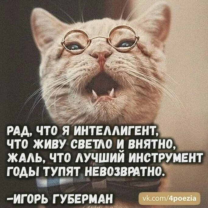 Свободная личность всегда против общества. 12 февраля день интеллигента. Этикет. Мужчина с сигарой. Кгб приколы.
