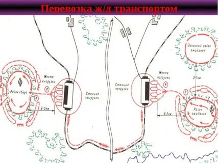 Дистанция между линейными для пешего марша