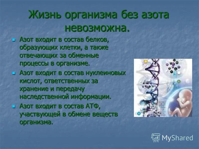 Азот необходим живым. Роль азота в организме. Функции азота в организме. Роль азота для человека. Роль азота в живых организмах.