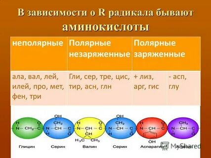 Радикалы бывают