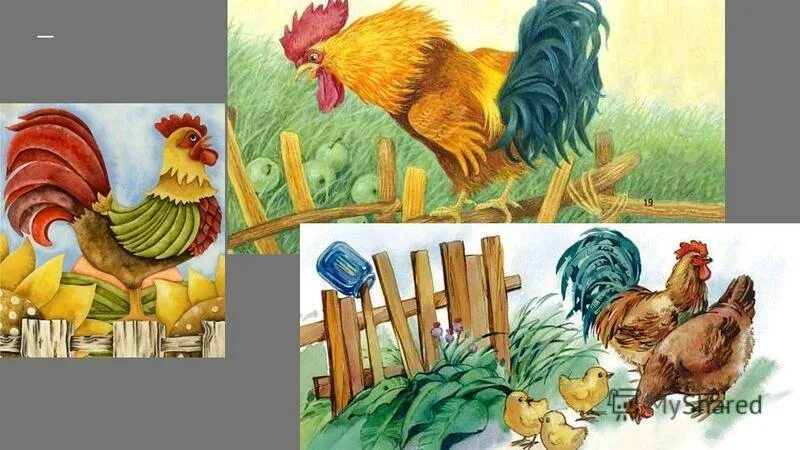 жили два петуха одного до обеда. просыпаться с петухами. петушок и бобовое зернышко сказка. ушинский к. сказка петух и бобовое зернышко.