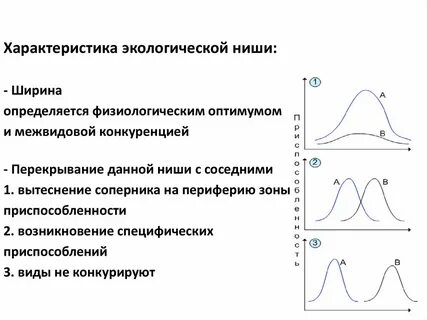 Экологические ниши трех видов форели перекрываются