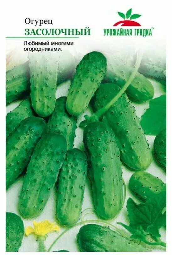 сорт огурцов засолочный описание фото отзывы. сорт огурцов засолочный описание фото отзывы. засолочный огурец f1. семена огурцов огурец засолочный. огурец сорт засолочный характеристика.