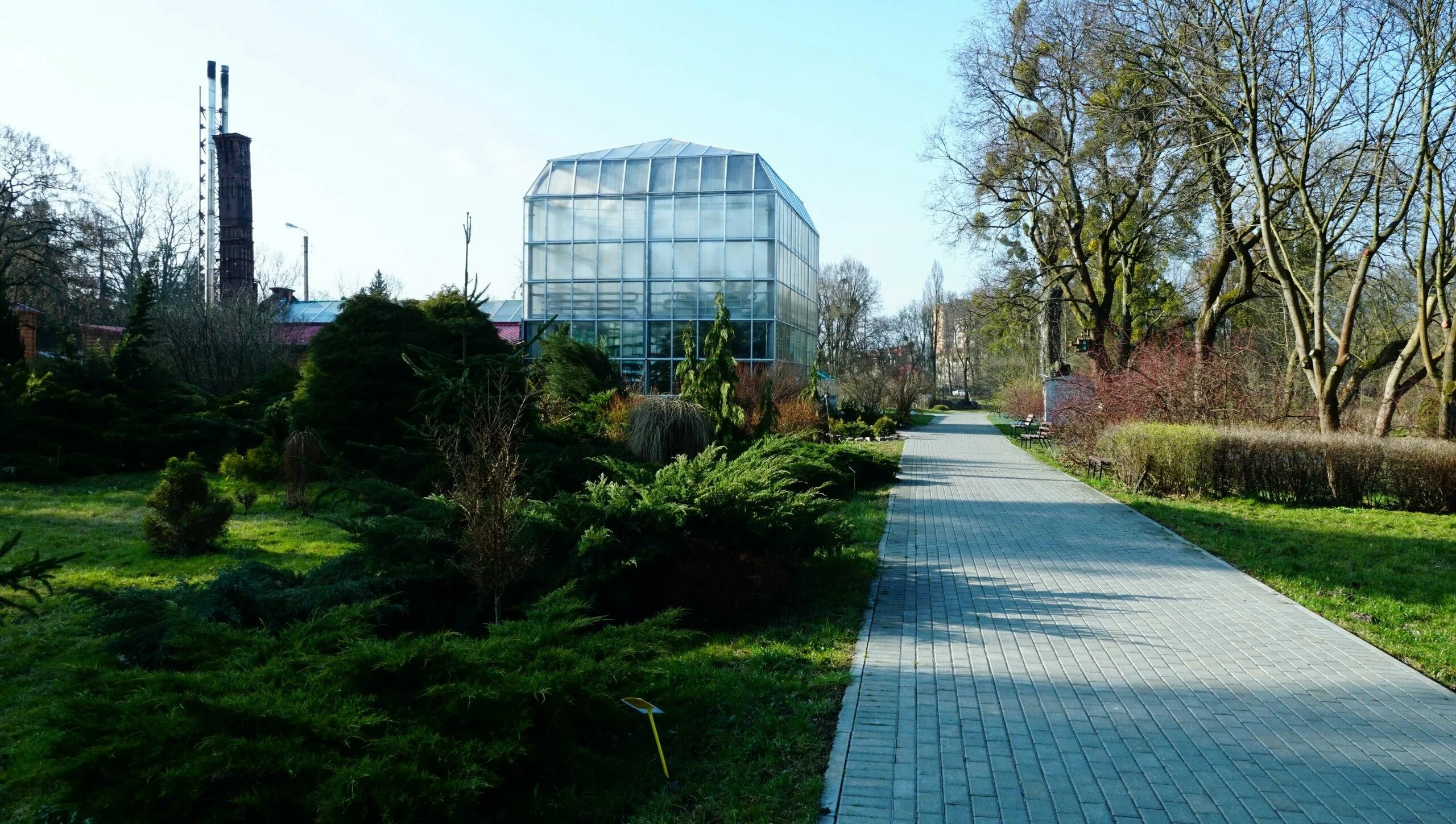 Ботанический сад канта калининград. Ботанический сад канта калининград. Канта. Калининградский ботанический сад калининград. Ботанический сад бфу калининград.