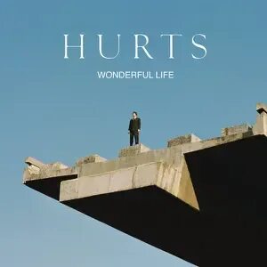 Wonderful life текст