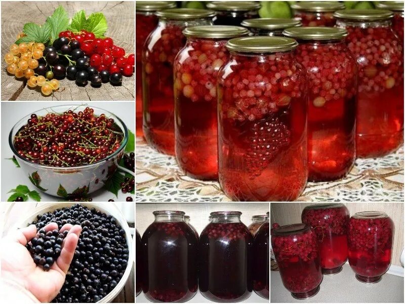 Заготовки из смородины на зиму рецепты. Разные компоты. заготовки из фруктов и ягод. заготовки компоты. компот из ягод на зиму.