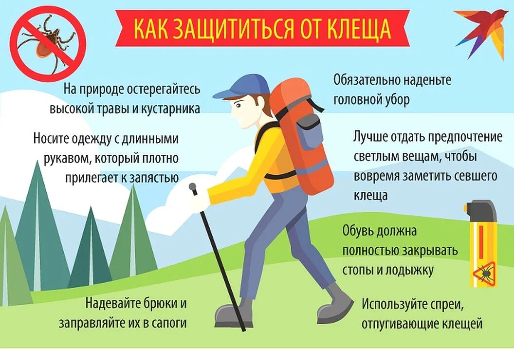 Как защититься от другого человека. Безопасность в лесу клещи. памятка как защититься от клеща. памятка как уберечься от клещей. способы защиты от клещей.