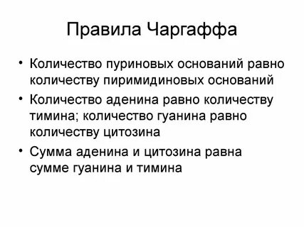 Правило чаргаффа нуклеотиды