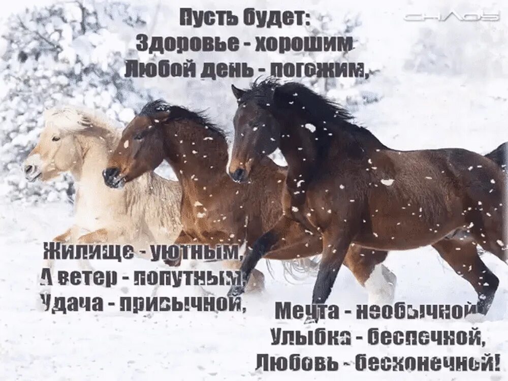 Пусть будет здоровье хорошим любой день. Пусть будет любой день погожим. пусть будет здоровье. пусть все будет хорошо. пусть всегда будет все хорошо.