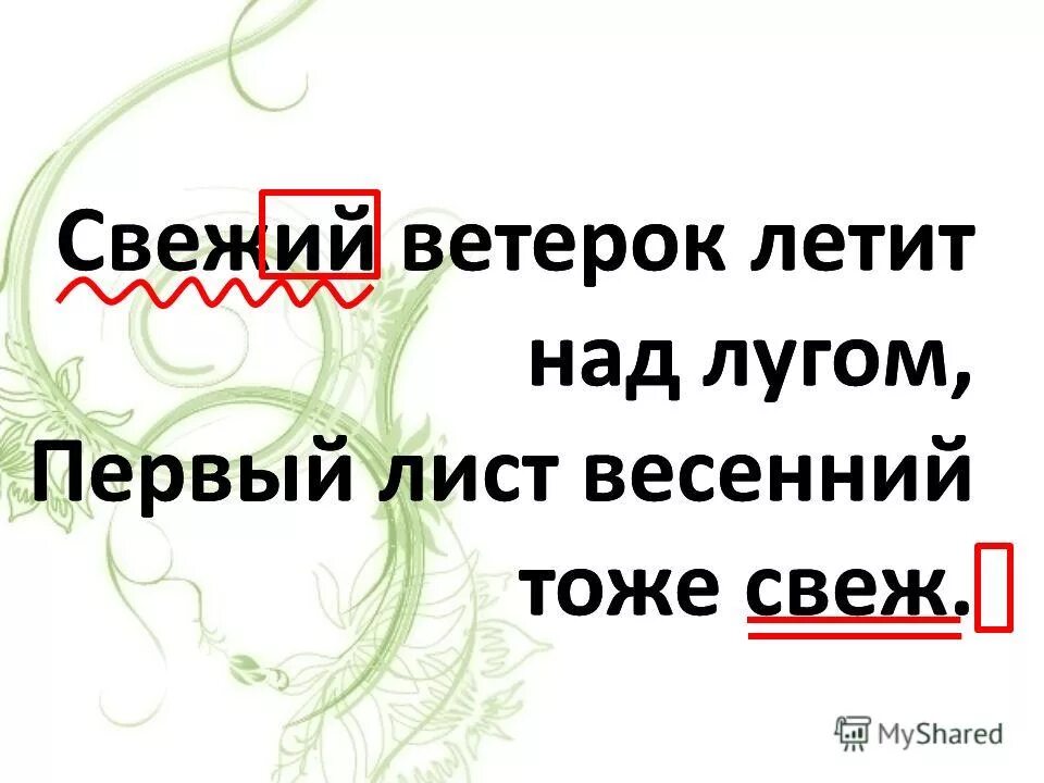 Антонимы к слову ветер. Свежий ветерок играет чем. Отель свежий ветер логотип. 1 ветер свеж. 1 ветер свеж.
