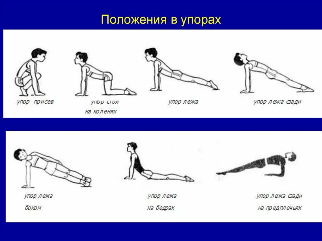 Слова упор. Положения в упорах. Упор сидя. Гимнастика положения упор. Упор это в физкультуре.