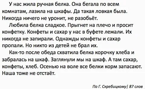 Нам подарили молодую белку впр 4