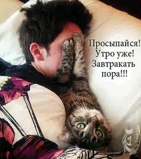 Видео просыпайся
