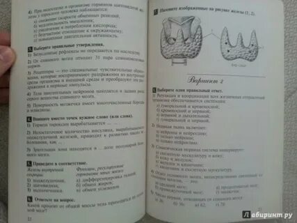 Тест гекалюк биологии 8
