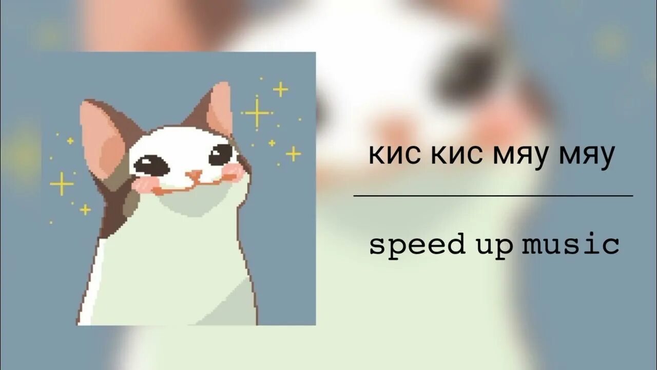 Мяу мяу мяу speed up. Кис кис кис мяу мяу мяу. Кис кис мяу мяу от тебя офигеваю.