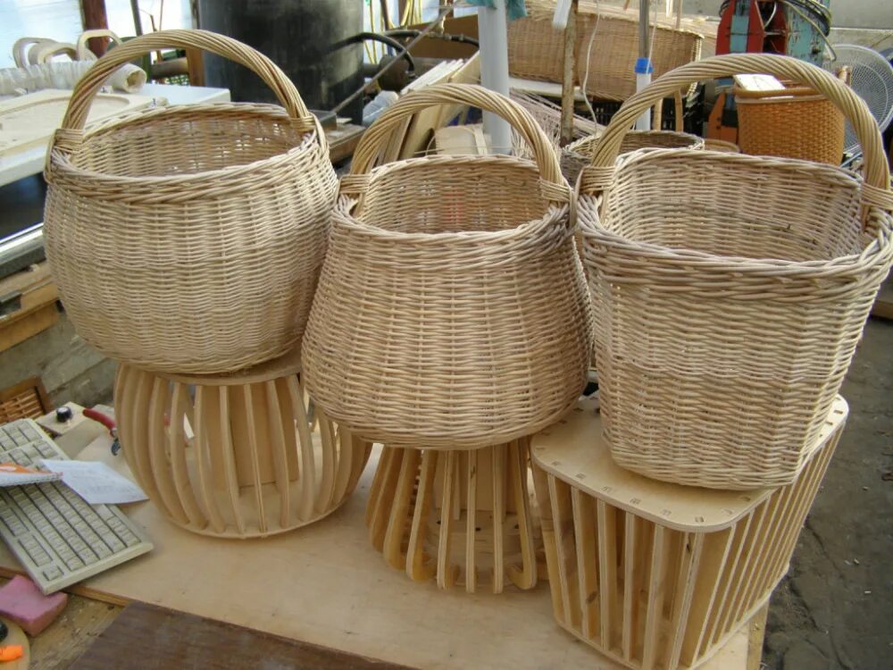 курсы плетения из лозы