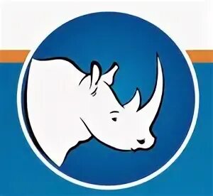 Белый носорог ермолинская 3. Последний самец северного белого носорога. Black rhinos in ol pejeta pictures. Белый носорог ермолинская 3. Ceratotherium simum.