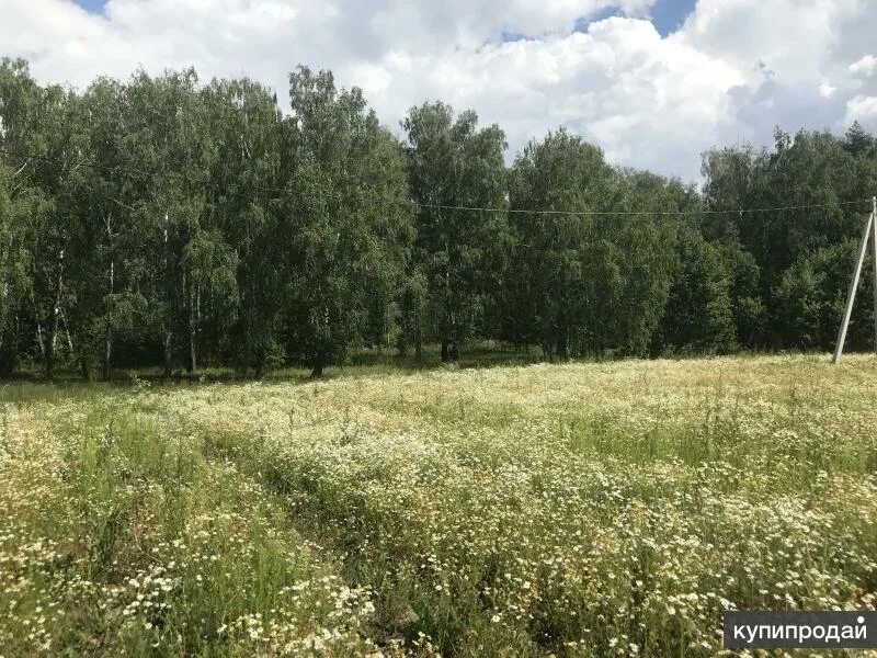 Купить участок в луге. Луговое 2 Воскресенский район. Воскресенские Луга 2. Деревня Грецкая Воскресенский район. Воскресенские Луга.