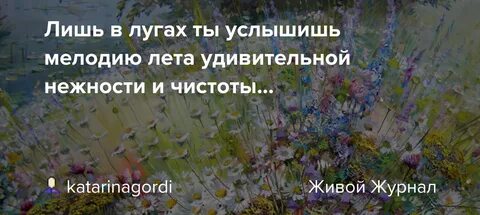 Это было удивительное лето