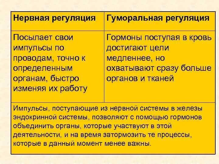 Как осуществляется нервная и гуморальная регуляция. Железы гуморальной регуляции. нервная и гуморальная регуляция. гуморальная регуляция и нервная регуляция. нервная и гуморальная регуляция деятельности организма.