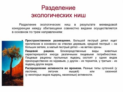 Экологические ниши трех видов форели перекрываются
