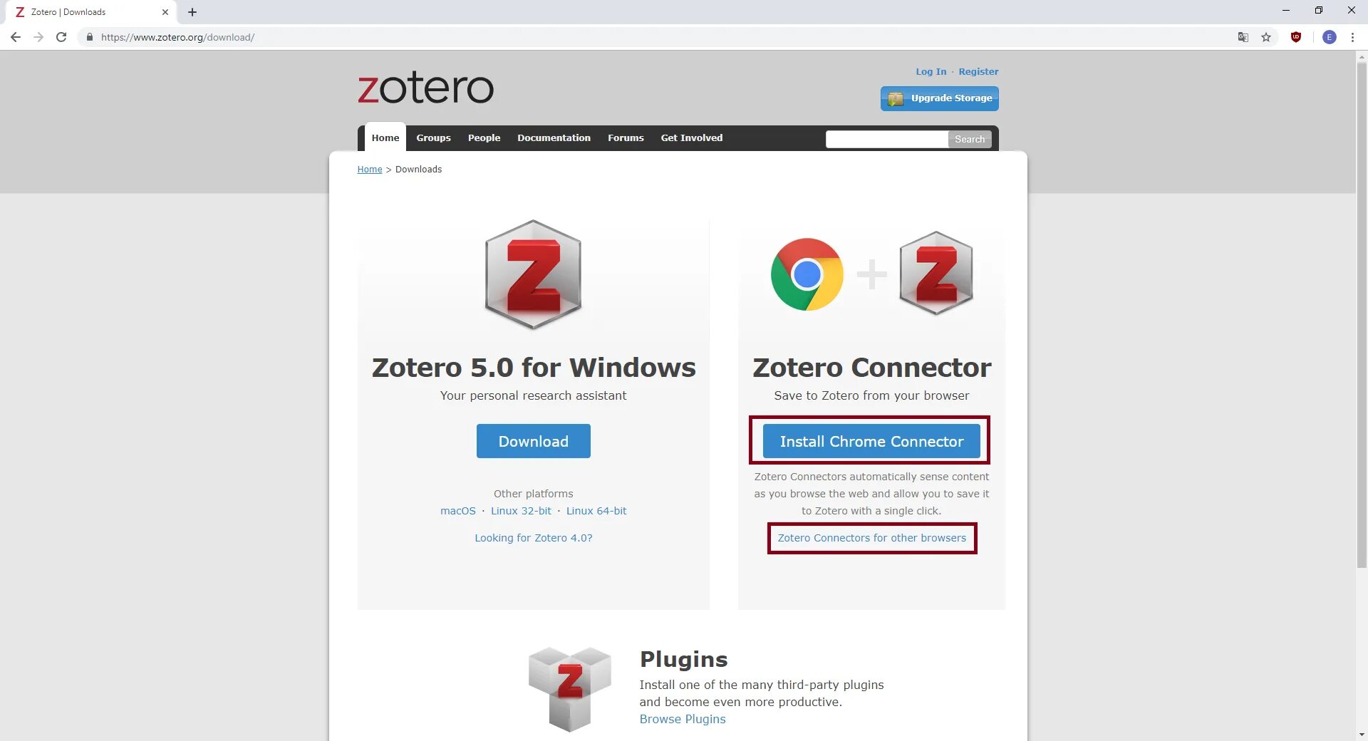 Browser extensions plugins