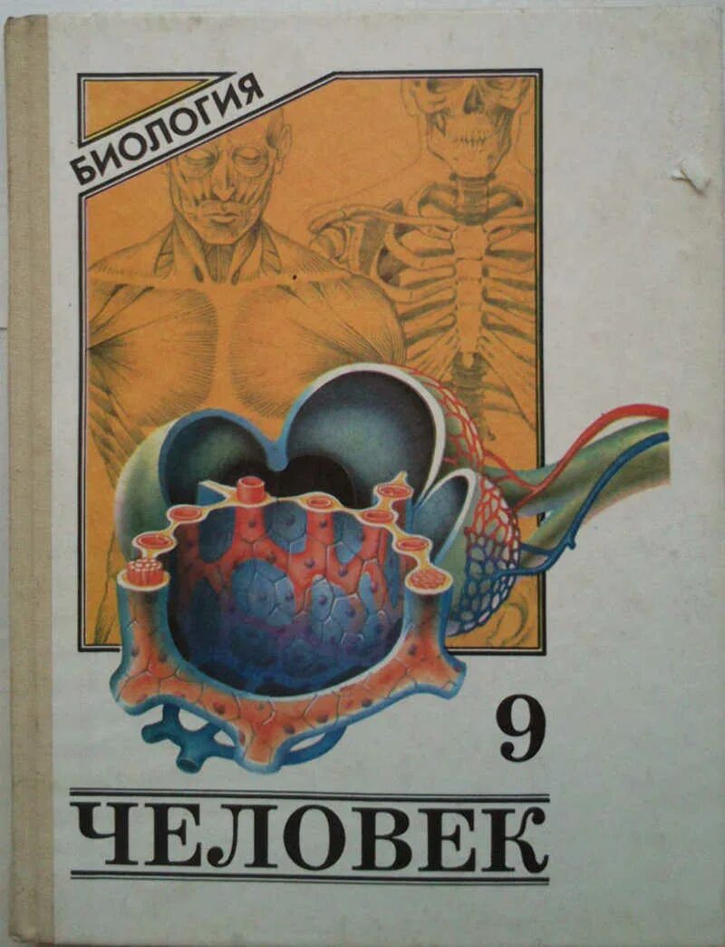 Батуев биология человек. Биология 9 класс человек. Биология человек 9 Батуев. Биология 9 класс учебник человек. Биология 9 класс шевырева