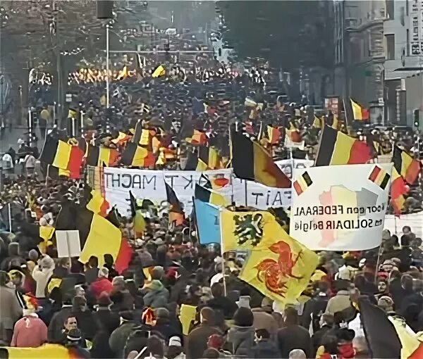 Какое движение в бельгии