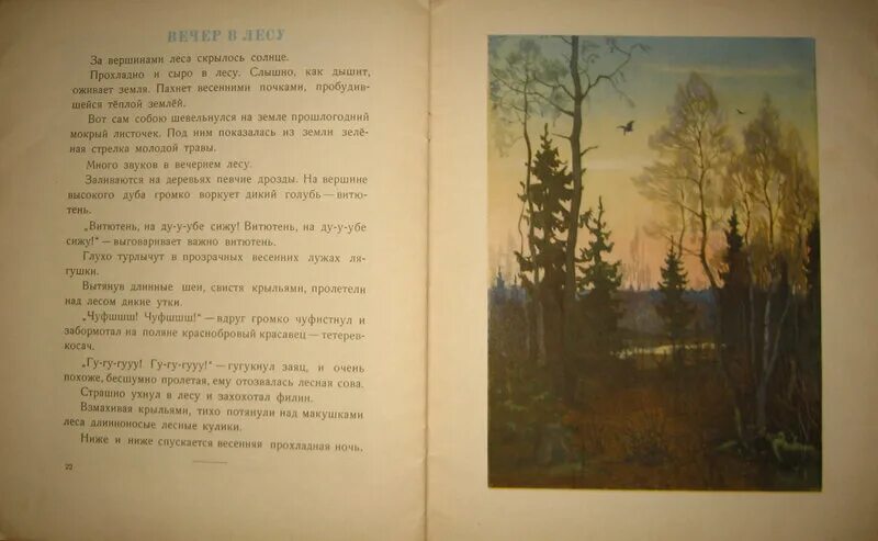 Вечер в лесу Соколов Микитов. За вершинами леса скрылось солнце. Соколов Микитов год в лесу. Книга в лесу. Айрон рассказы читать на дзене