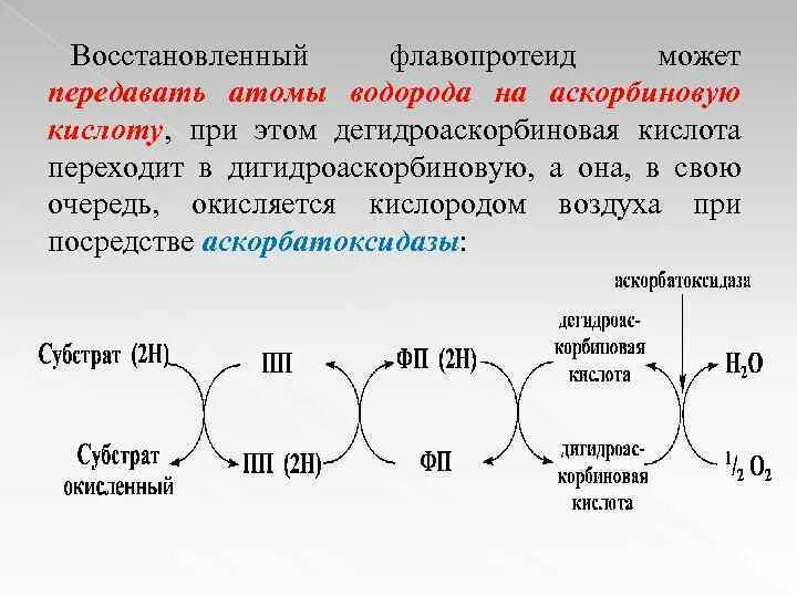 Кислоты восстанавливаются до. Флавопротеид. Флавопротеины строение и механизм действия. Строение флавопротеинов. Флавопротеиды структура.