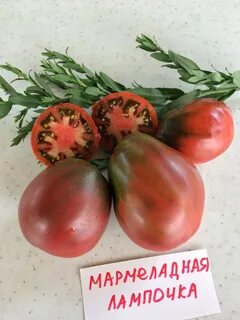 Томат лампочка