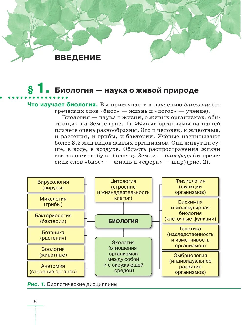 5 Класс науки биологии учебник. Биологические дисциплины. Биологические дисциплины 5 класс биология. Система биологических наук 5 класс. Биологии 5 класс какие темы