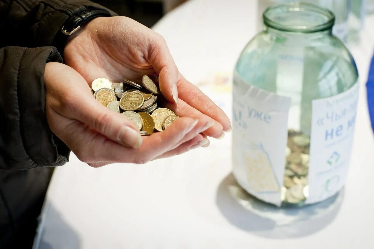 крошечный получать. меры по борьбе с бедностью. самая маленькая улитка в мире. самый маленький моллюск. отсутствие денег.