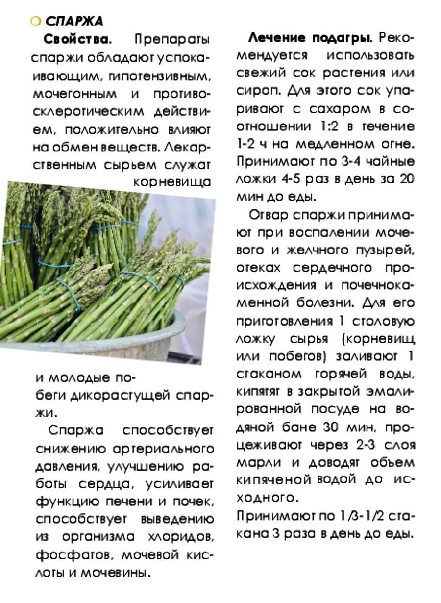 Спаржа размер. Чем полезна спаржа. спаржалечевное свойство. спаржа польза. спаржа полезна.